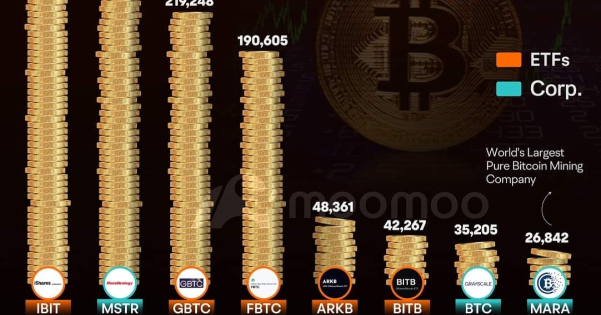 YOU WERE RIGHT ๐คฌ BITCOIN IS A SCAM ๐คฆ๐ฝโโ๏ธ I KNEW IT ...